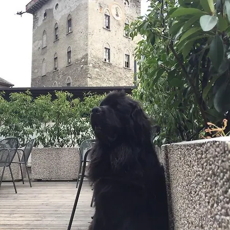 De La Tour Tirano
